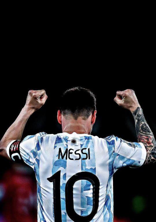 魔术师预测 魔术师预测